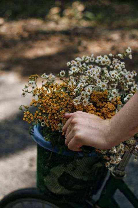 Workshop blooms