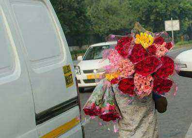 Auckland wedding bouquet hero