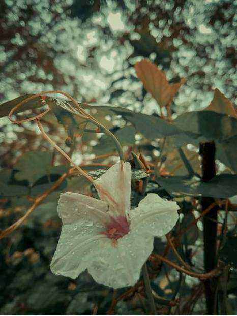 Bouquet - pastel seasonal